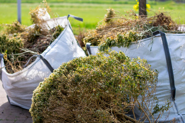 Best Junk Hauling Services  in Ocean City, FL